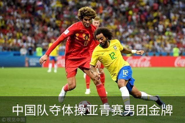 中国队夺体操亚青赛男团金牌